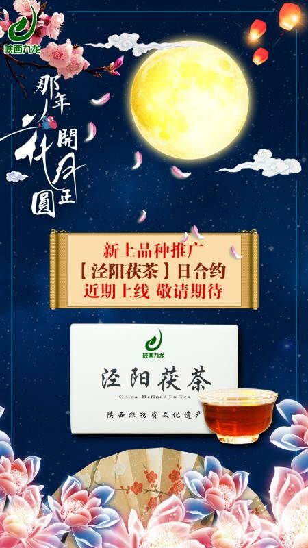 陕西九龙农产品茯茶