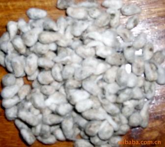 黄河大宗商品棉籽